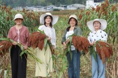 <b>春种秋收皆“智”制！——“十四五”印山河地</b>